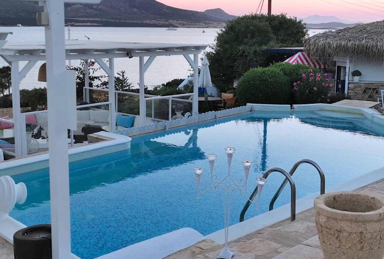 Blue Dolphin Antiparos Villas And Suites Agios Georgios  エクステリア 写真