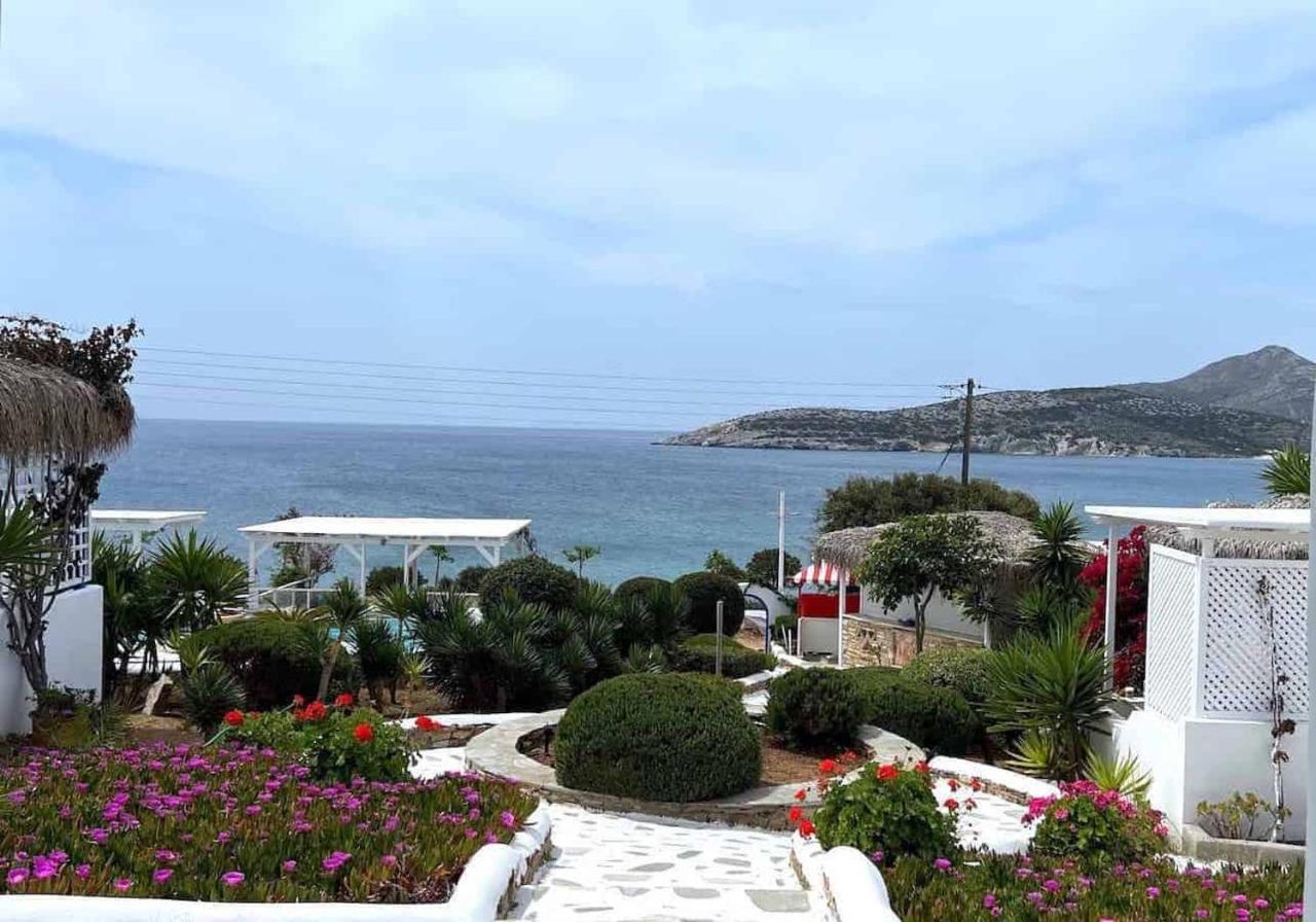 Blue Dolphin Antiparos Villas And Suites Agios Georgios  エクステリア 写真