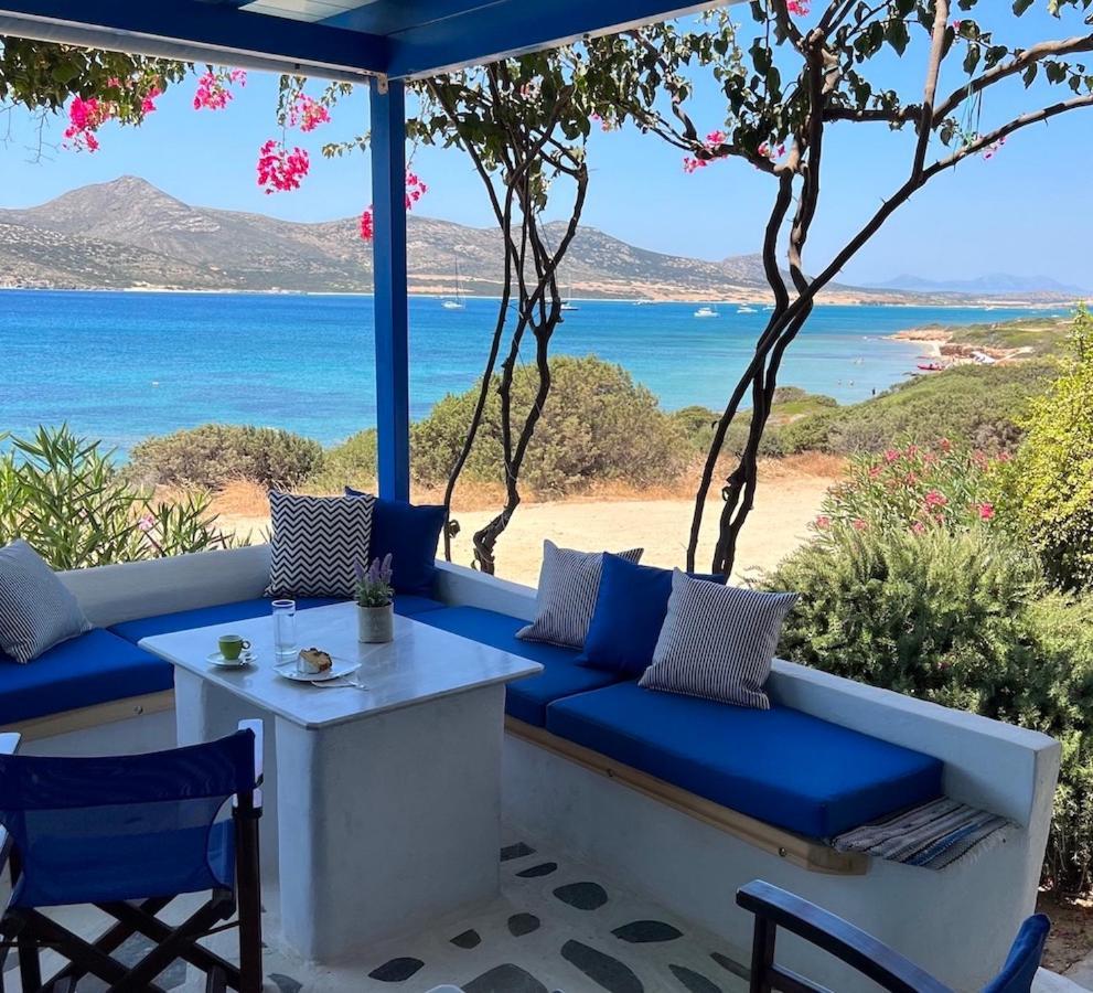 Blue Dolphin Antiparos Villas And Suites Agios Georgios  エクステリア 写真